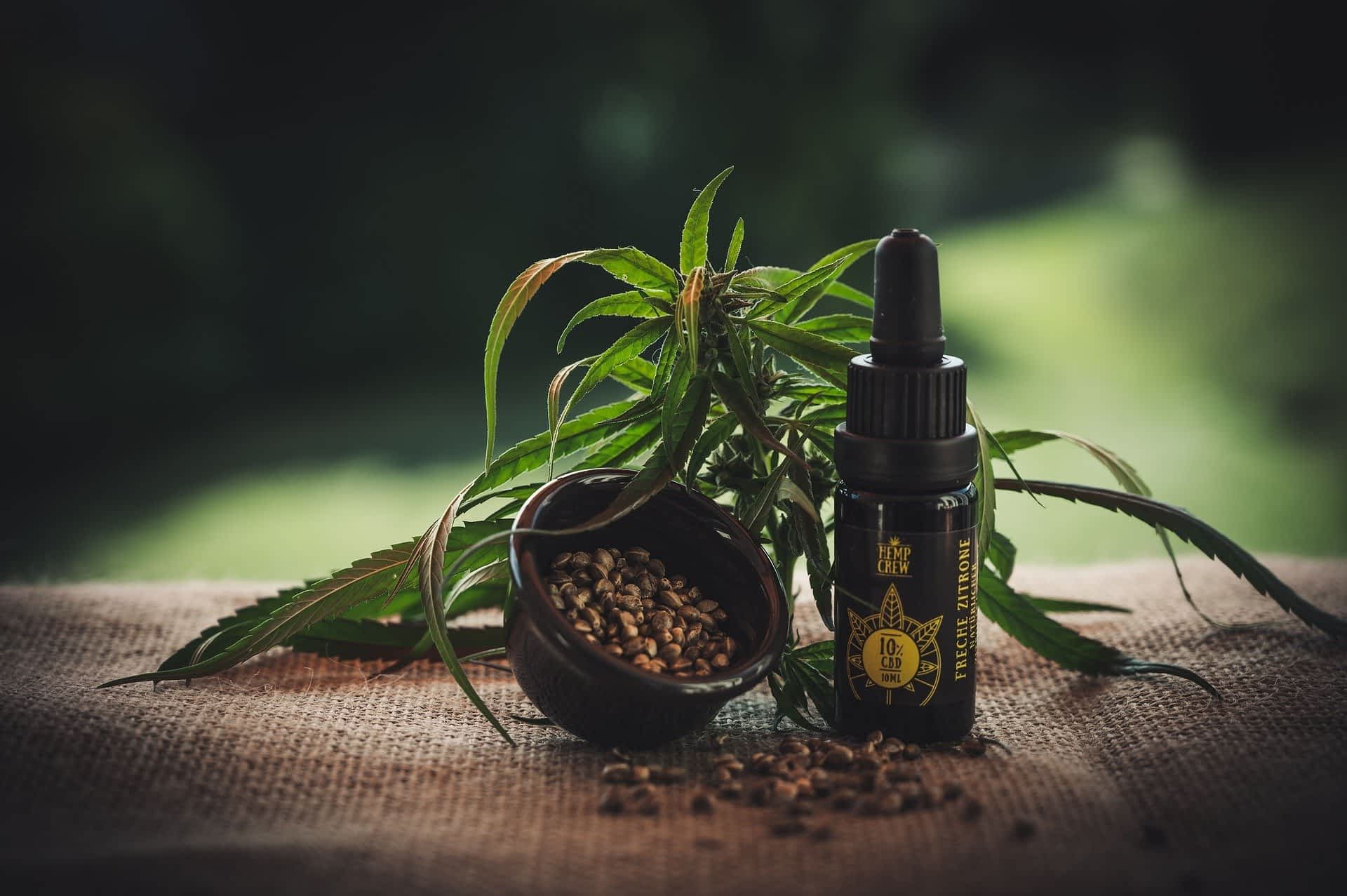 5 Reasons on Why Seniors are Using CBD Oil