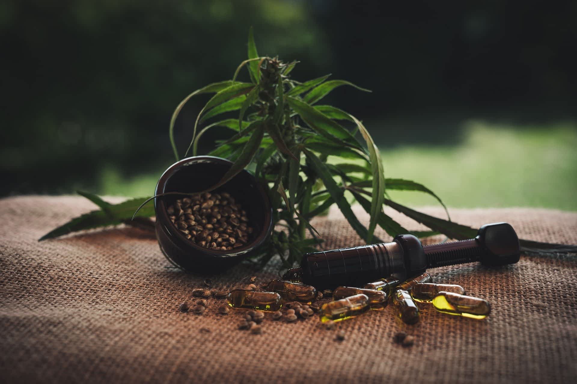 4 Big Differences Between The CBD Oil and Hemp Oil